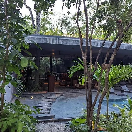 Charming Jungle Apartment In Luum Zama With Pool By Yeah